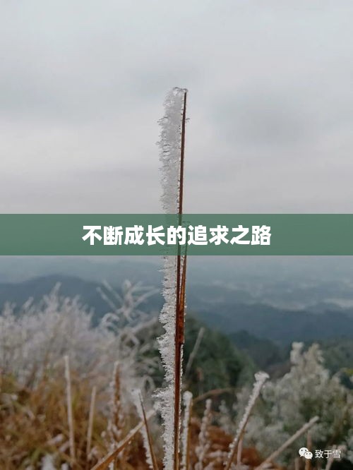 不断成长的追求之路