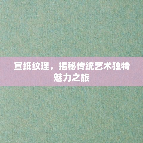 宣纸纹理，揭秘传统艺术独特魅力之旅