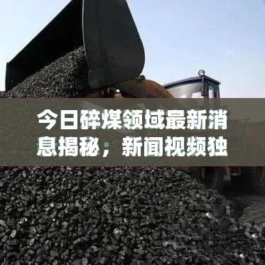 今日碎煤领域最新消息揭秘，新闻视频独家报道