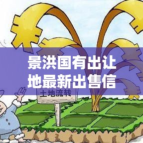 景洪国有出让地最新出售信息概览