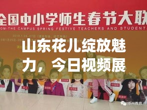 山东花儿绽放魅力，今日视频展现全新风采