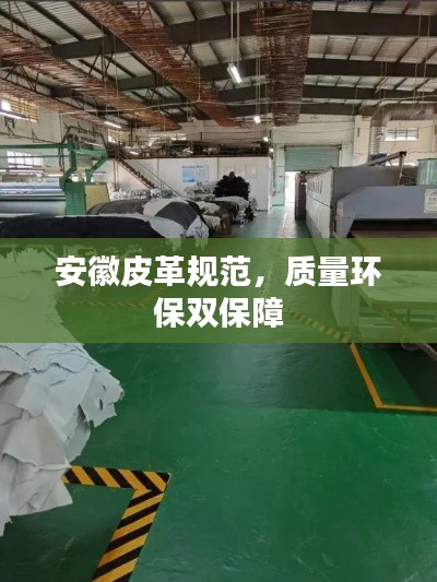 安徽皮革规范，质量环保双保障