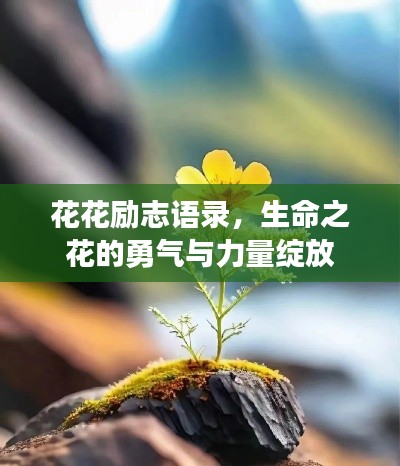 2025年6月 第100页