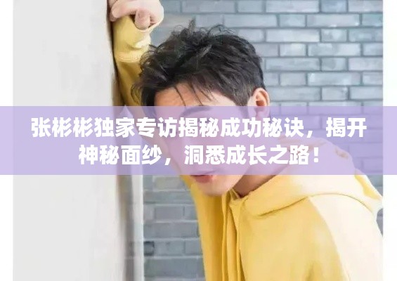栖冲业简