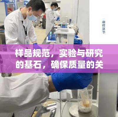 样品规范，实验与研究的基石，确保质量的关键所在