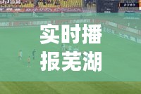 2025年6月 第94页