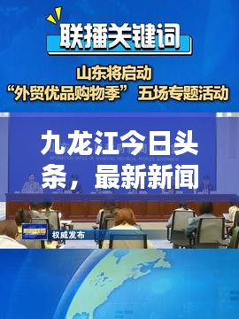 九龙江今日头条，最新新闻报道汇聚