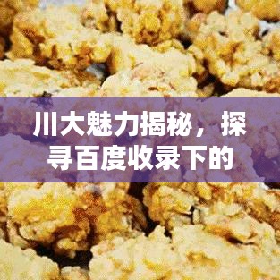 川大魅力揭秘，探寻百度收录下的精彩世界！