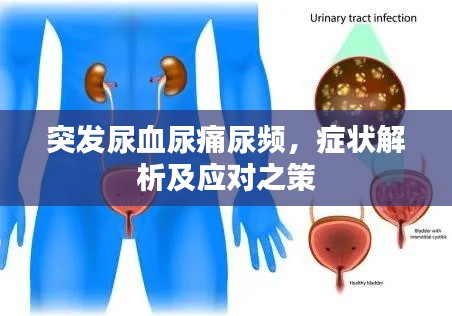 事必躬亲