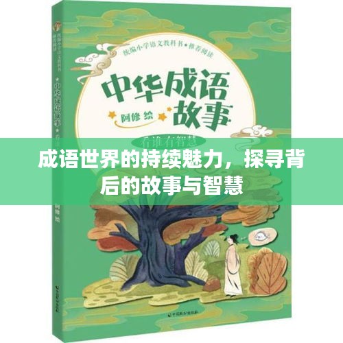 成语世界的持续魅力，探寻背后的故事与智慧