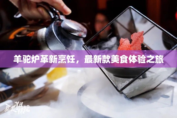 2025年6月9日 第2页