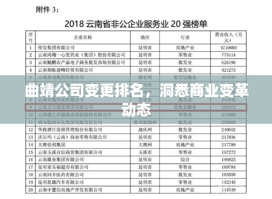 曲靖公司变更排名，洞悉商业变革动态