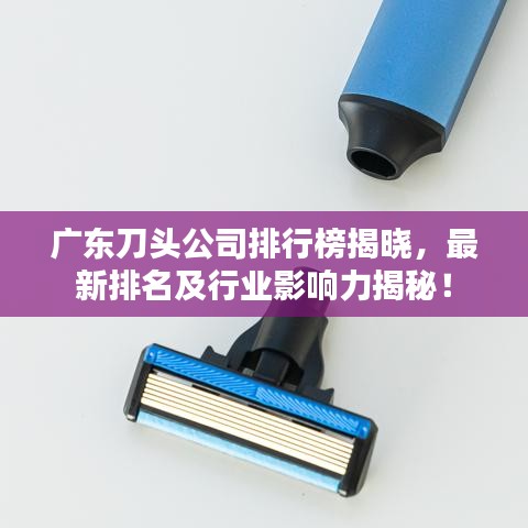 2025年6月12日 第5页