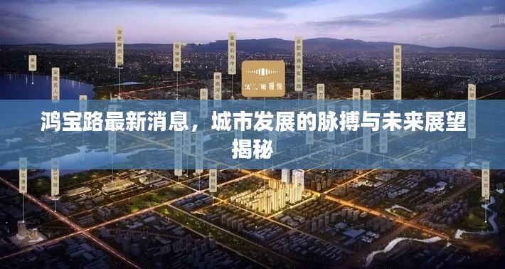 2025年6月12日 第4页