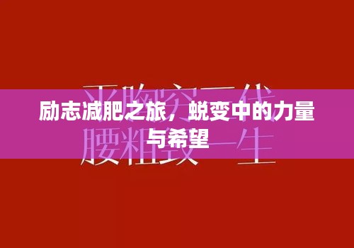 励志减肥之旅，蜕变中的力量与希望