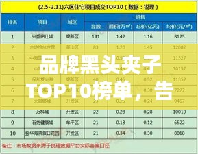 品牌黑头夹子TOP10榜单，告别黑头烦恼！
