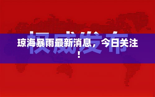 2025年6月13日 第4页