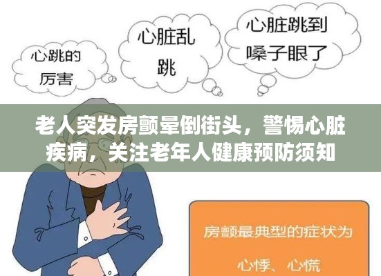 老人突发房颤晕倒街头，警惕心脏疾病，关注老年人健康预防须知