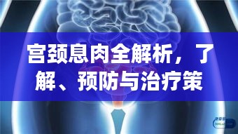 宫颈息肉全解析，了解、预防与治疗策略