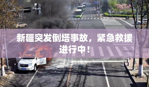 2025年6月 第54页