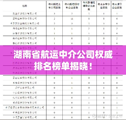 湖南省航运中介公司权威排名榜单揭晓！