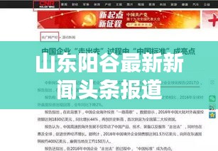 山东阳谷最新新闻头条报道