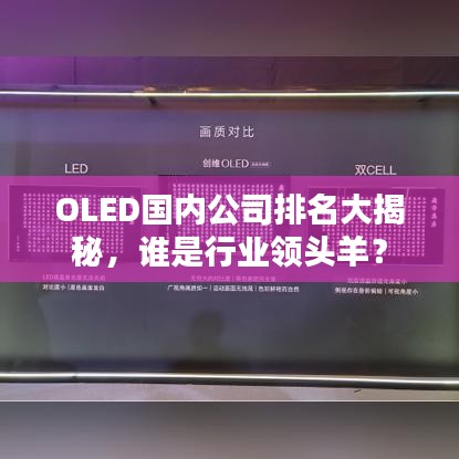 OLED国内公司排名大揭秘，谁是行业领头羊？