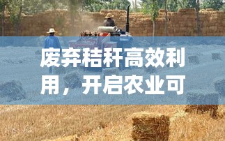 废弃秸秆高效利用，开启农业可持续发展新篇章
