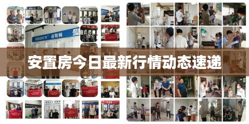安置房今日最新行情动态速递