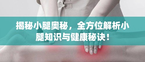 揭秘小腿奥秘，全方位解析小腿知识与健康秘诀！