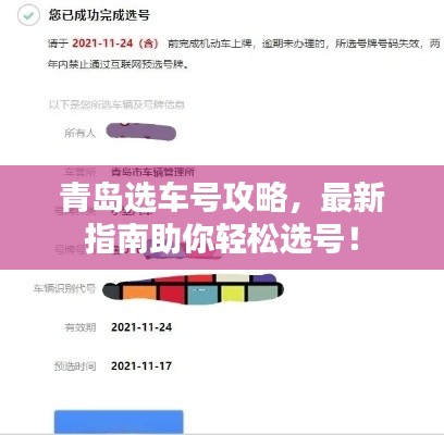 青岛选车号攻略，最新指南助你轻松选号！
