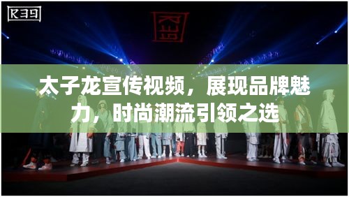 太子龙宣传视频，展现品牌魅力，时尚潮流引领之选
