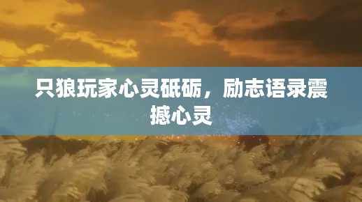 只狼玩家心灵砥砺，励志语录震撼心灵
