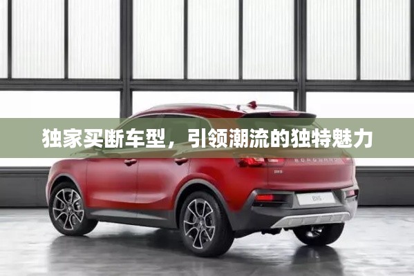 独家买断车型，引领潮流的独特魅力