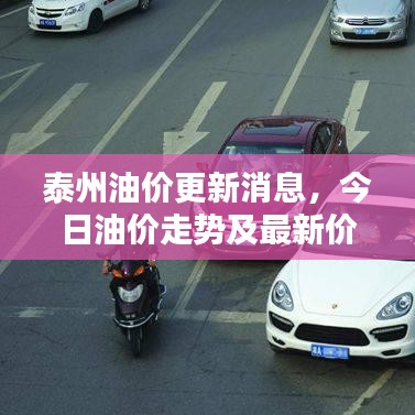 泰州油价更新消息，今日油价走势及最新价格表全解析