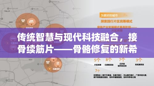 传统智慧与现代科技融合，接骨续筋片——骨骼修复的新希望