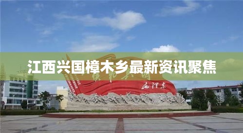 江西兴国樟木乡最新资讯聚焦