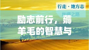 励志前行，薅羊毛的智慧与行动